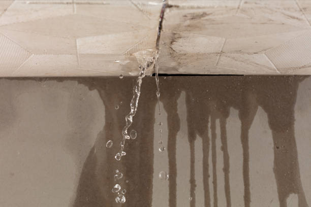 Professional Structural Drying technician working in Sayville, NY